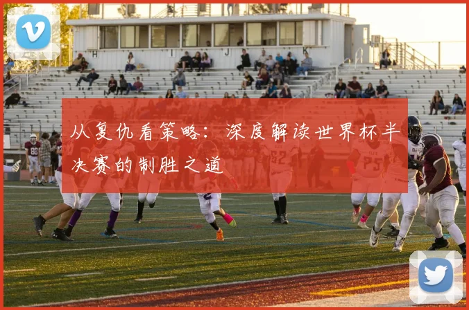 从复仇看策略：深度解读世界杯半决赛的制胜之道