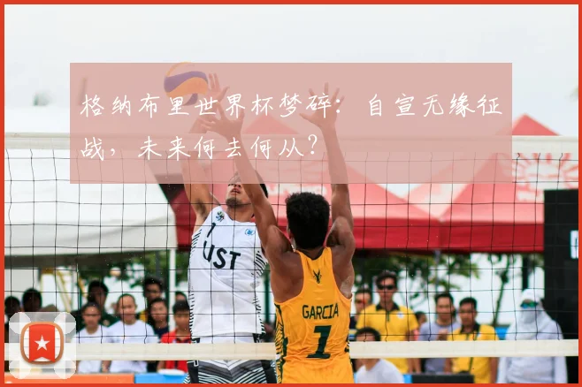 格纳布里世界杯梦碎：自宣无缘征战，未来何去何从？